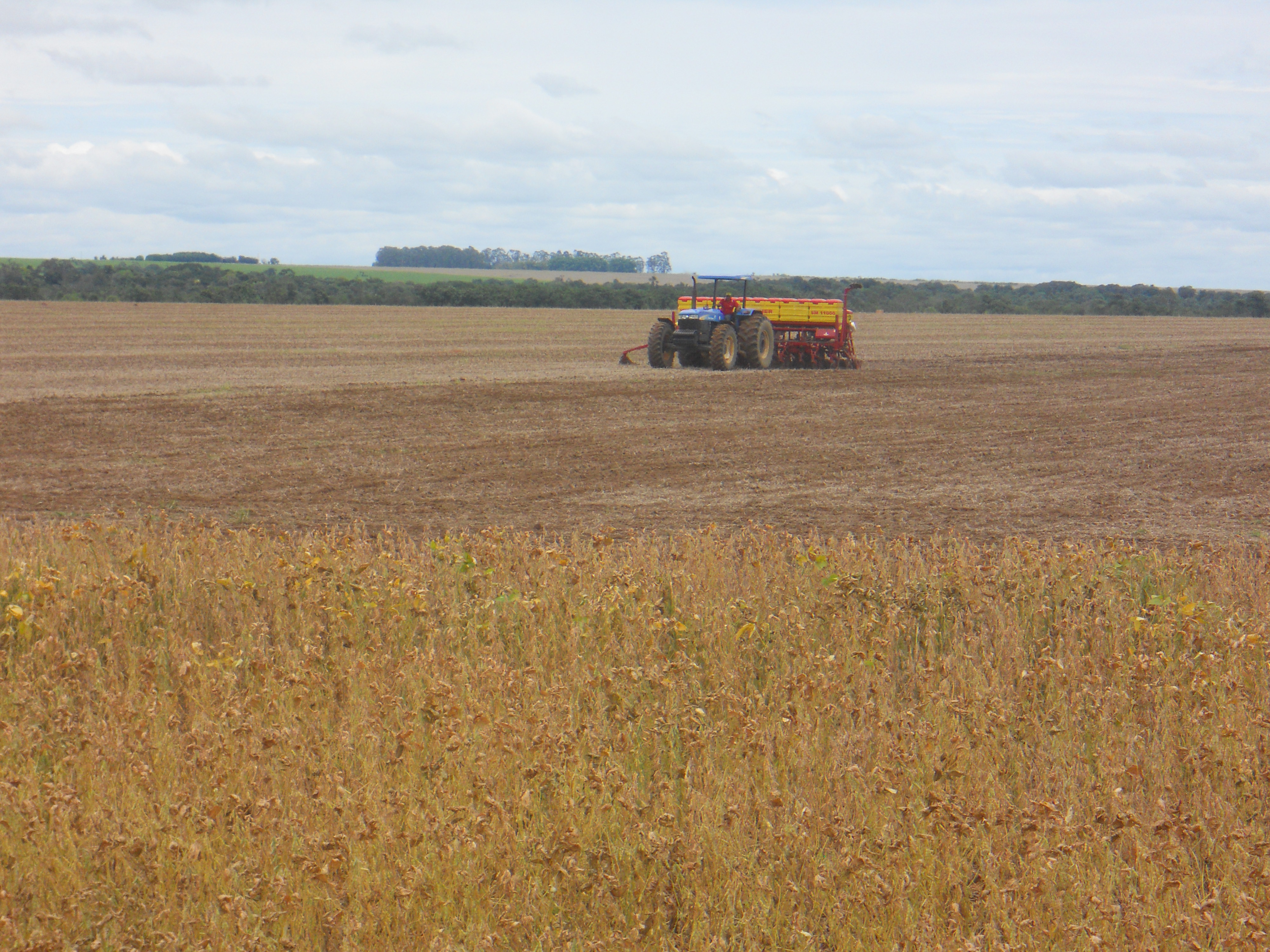 Planting safrinha corn near Primavera do Leste in southeastern Mato Grosso, Brazil