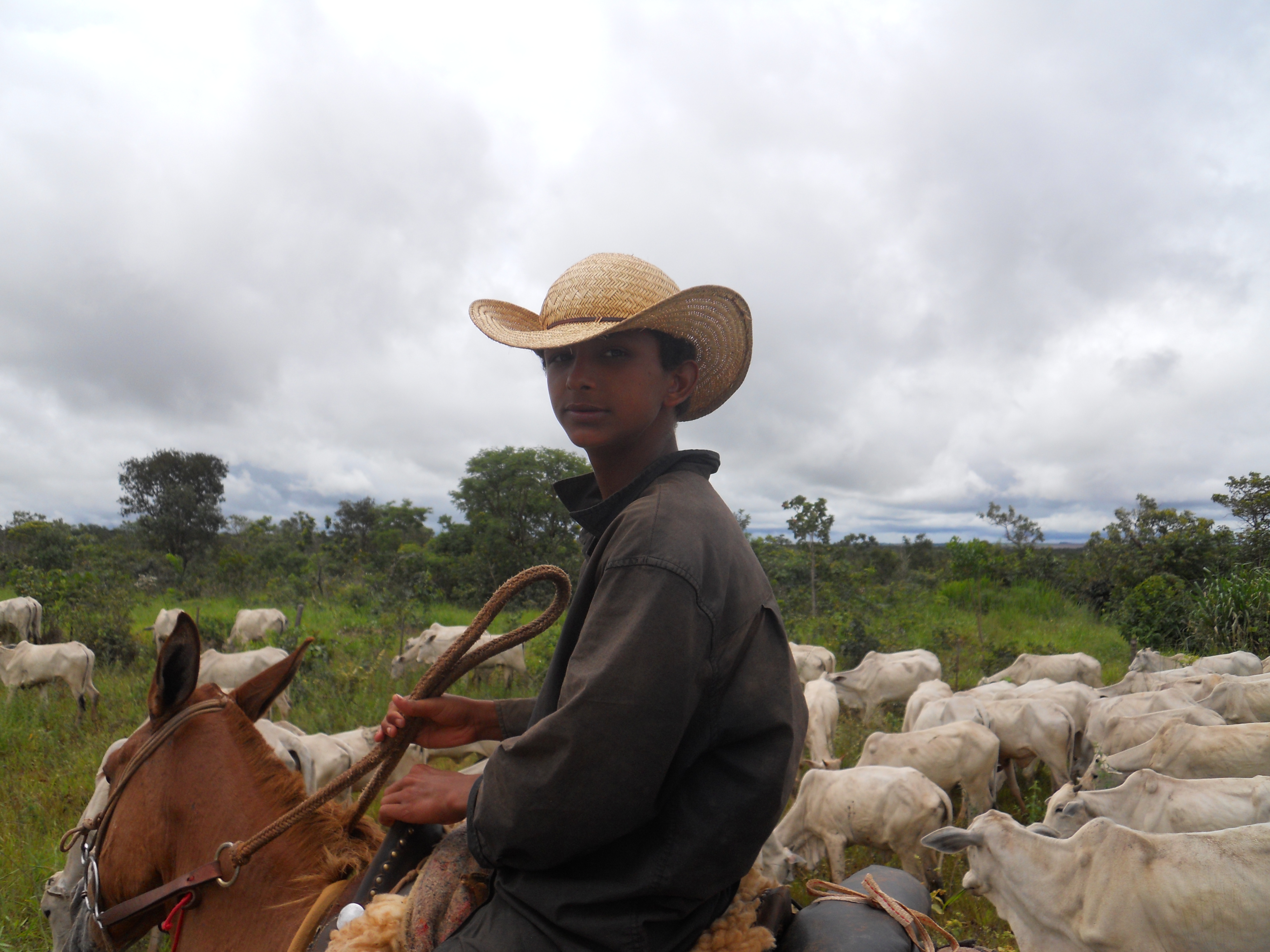 Young cowboy on cattle drive near Chapada dos Guimaraes in southeastern Mato Grosso, Brazil