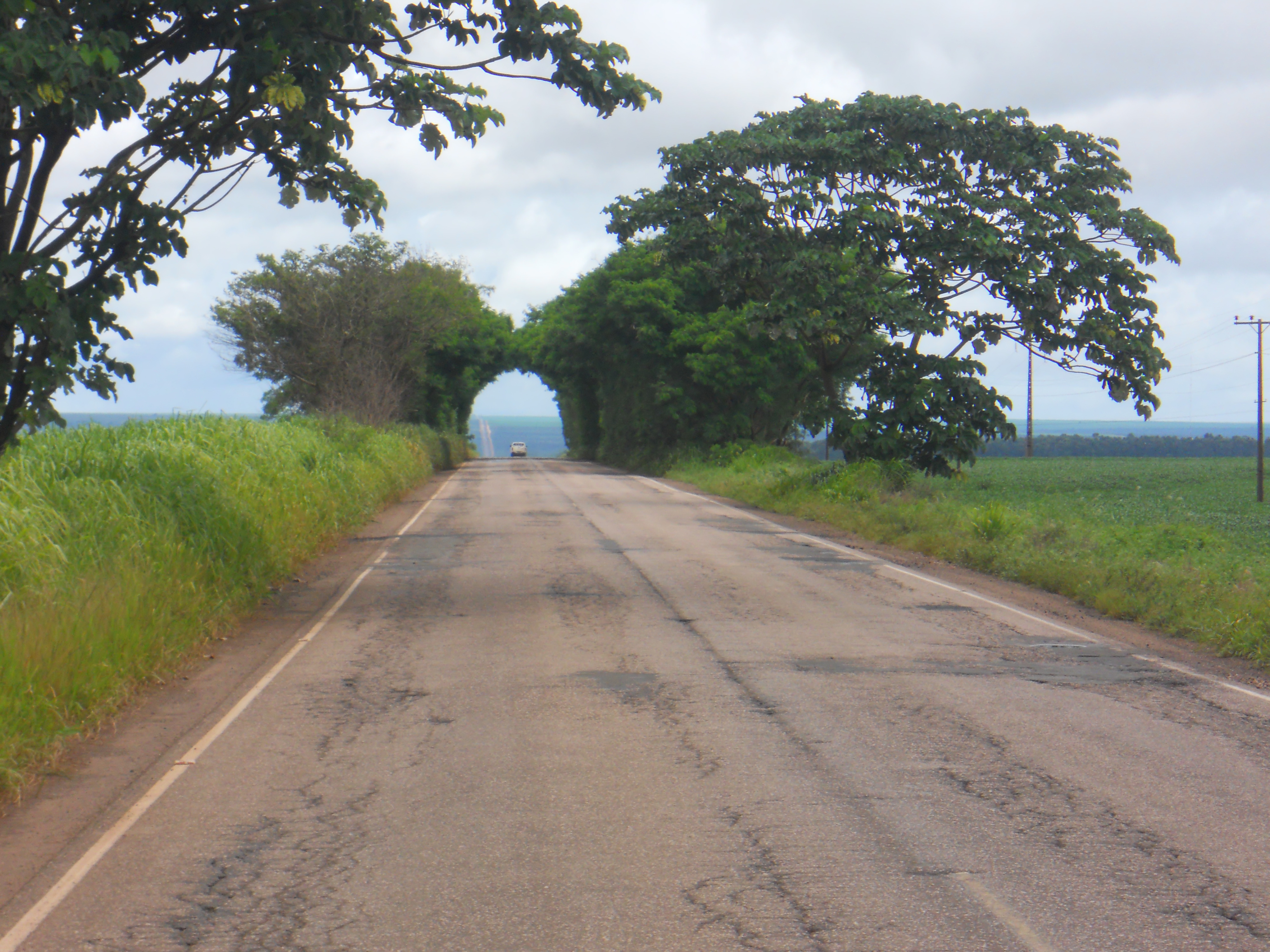 Highway near Campo Novo do Parecis in western Mato Grosso, Brazil