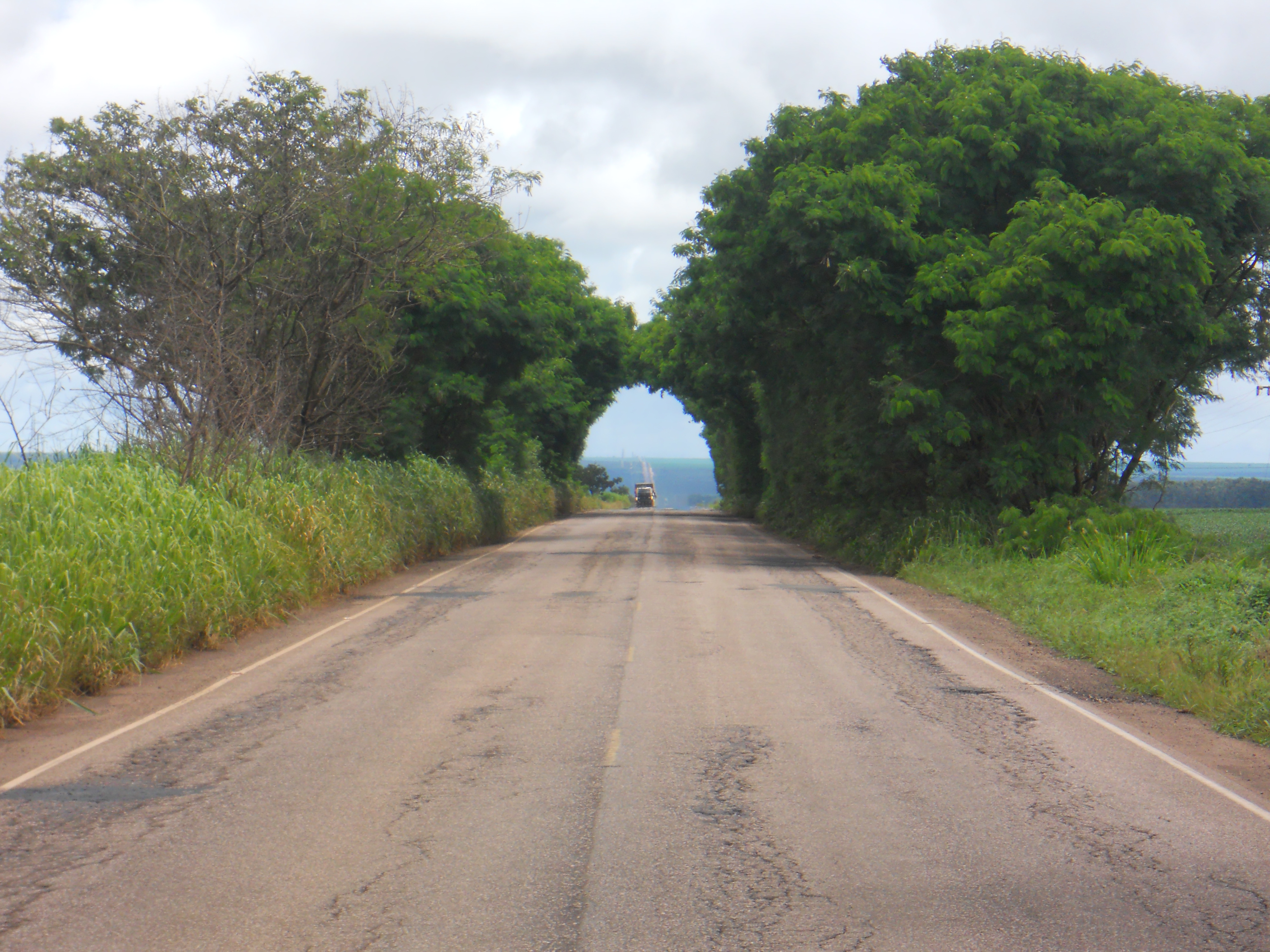 Highway near Campo Novo do Parecis in western Mato Grosso, Brazil