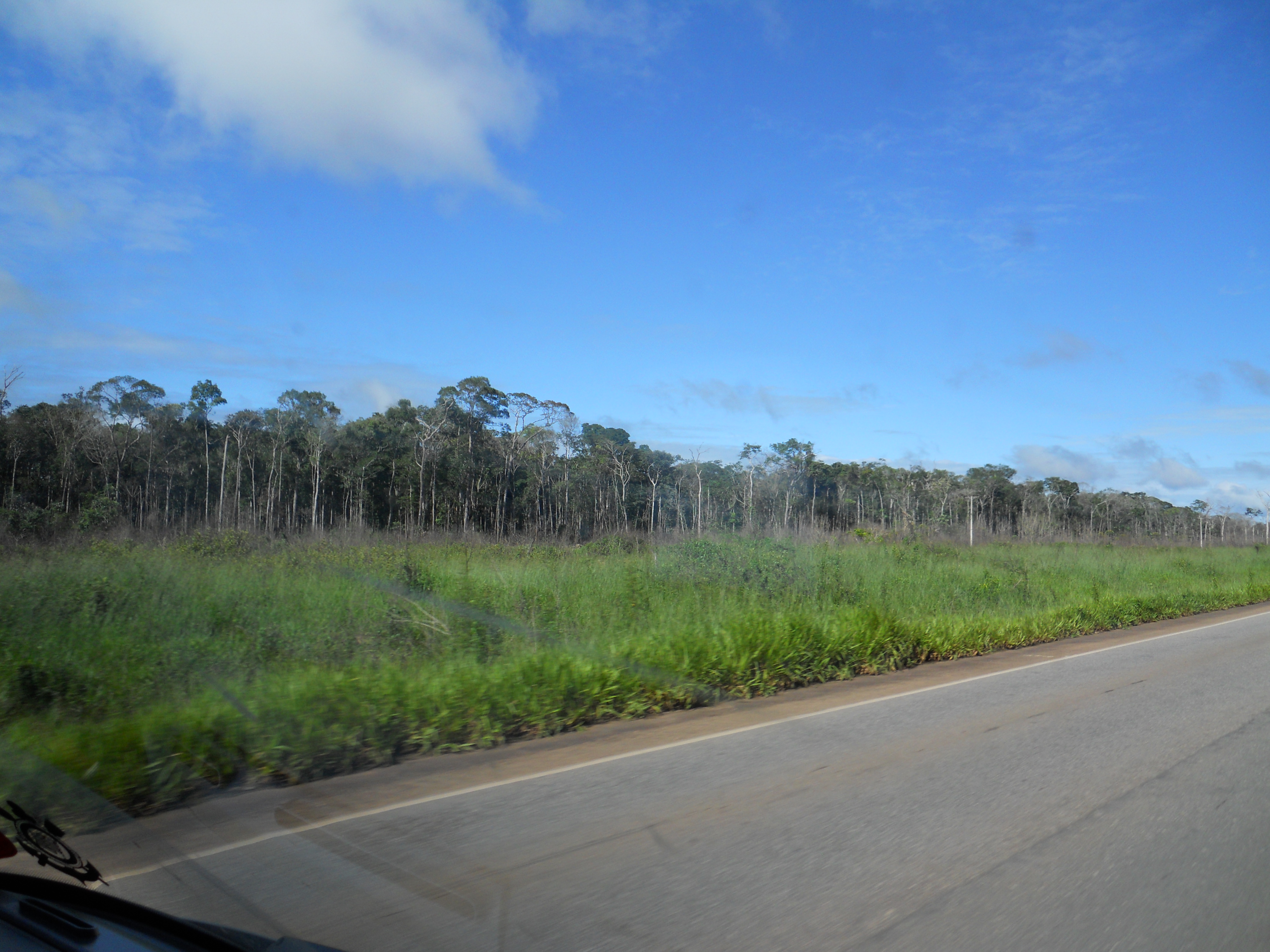 Clearing Amazon rain forest near Comodoro in western Mato Grosso, Brazil