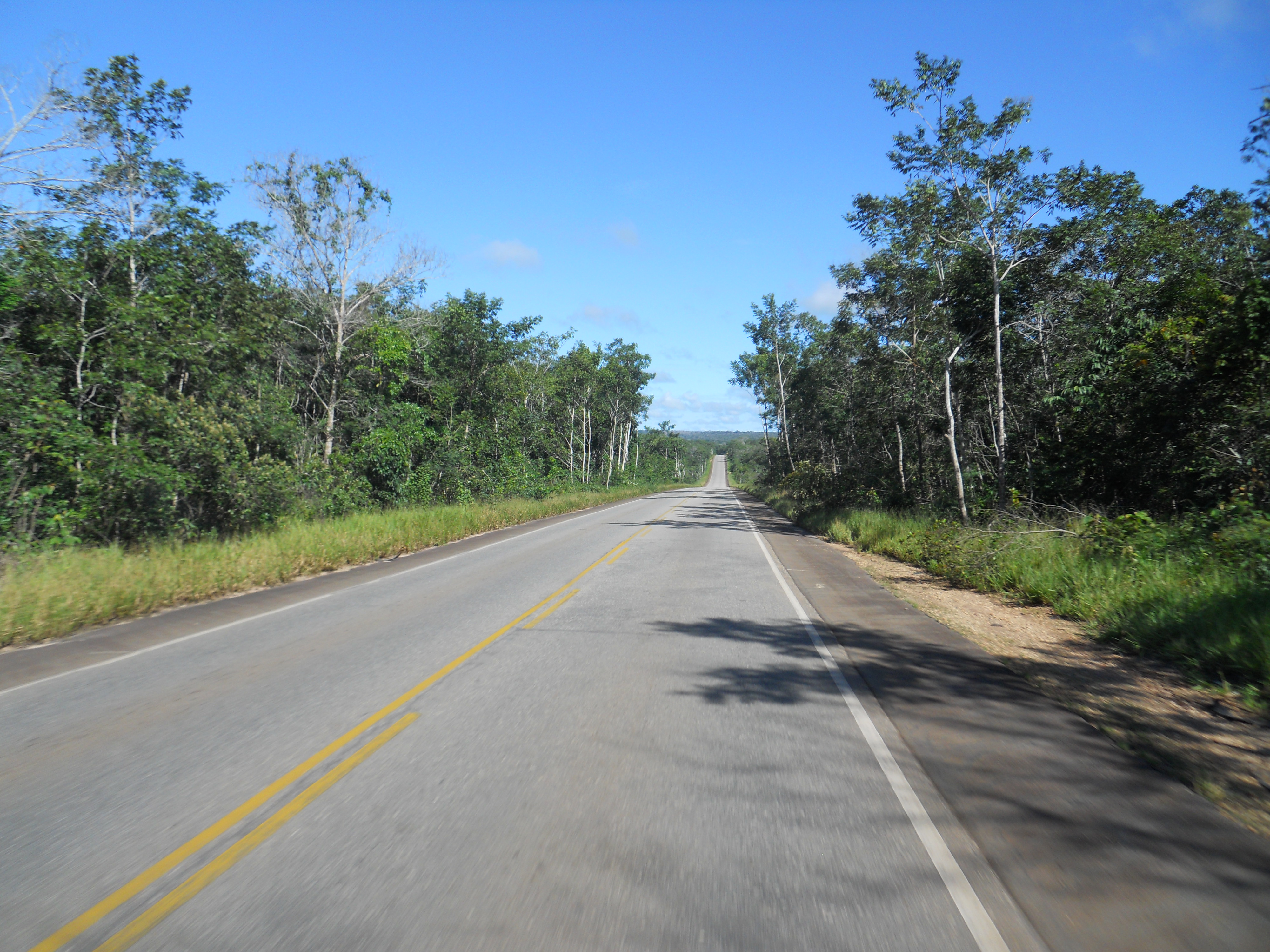 Amazon Rain Forest in northwestern Mato Grosso, Brazil