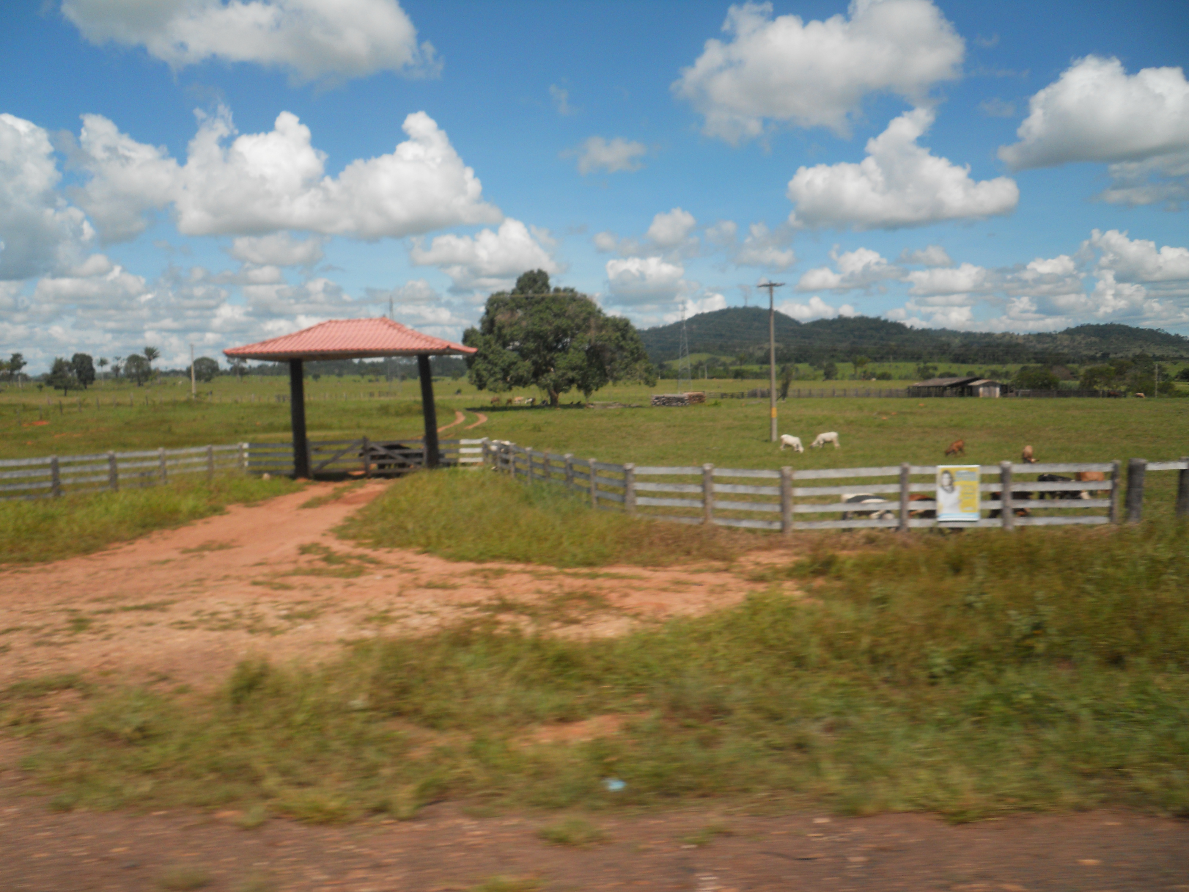 Cattle ranching in southern Rondonia, Brazil