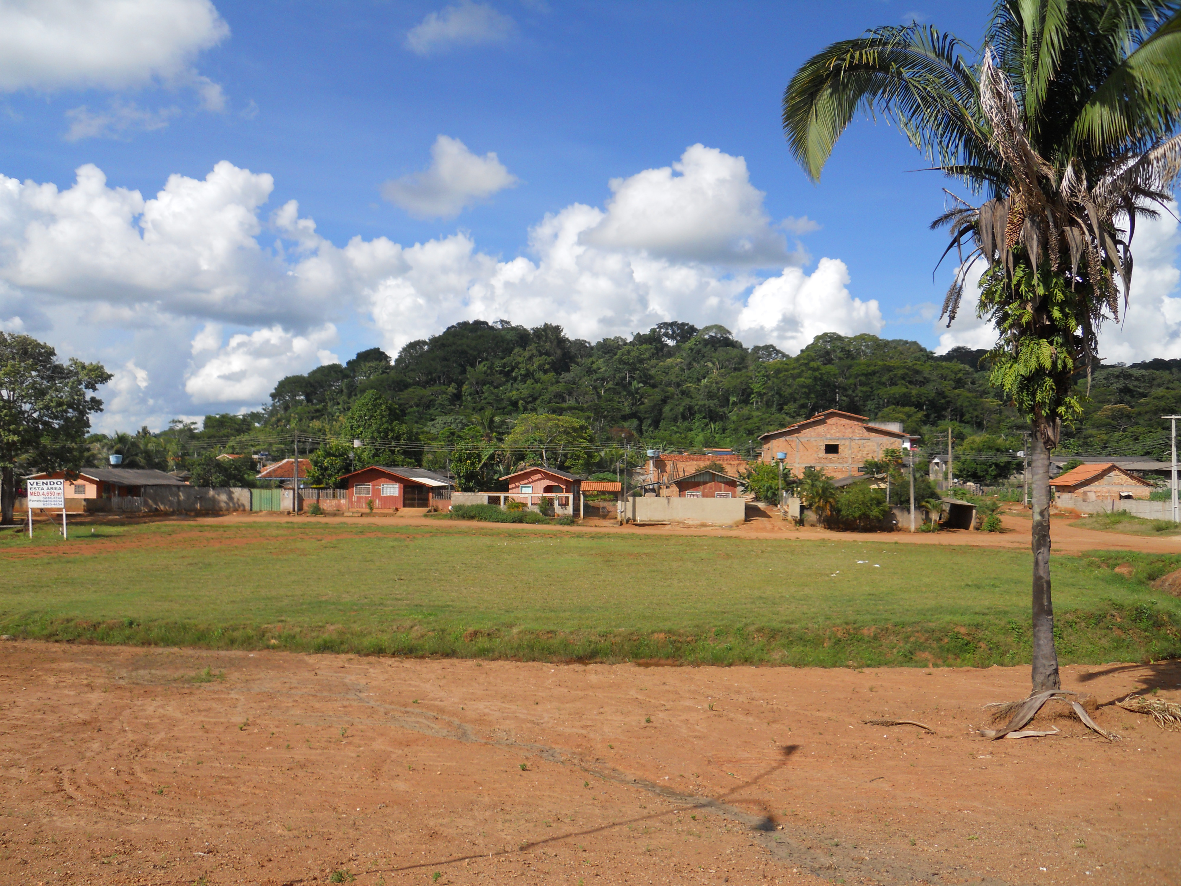 Amazon Rain Forest in central Rondonia, Brazil