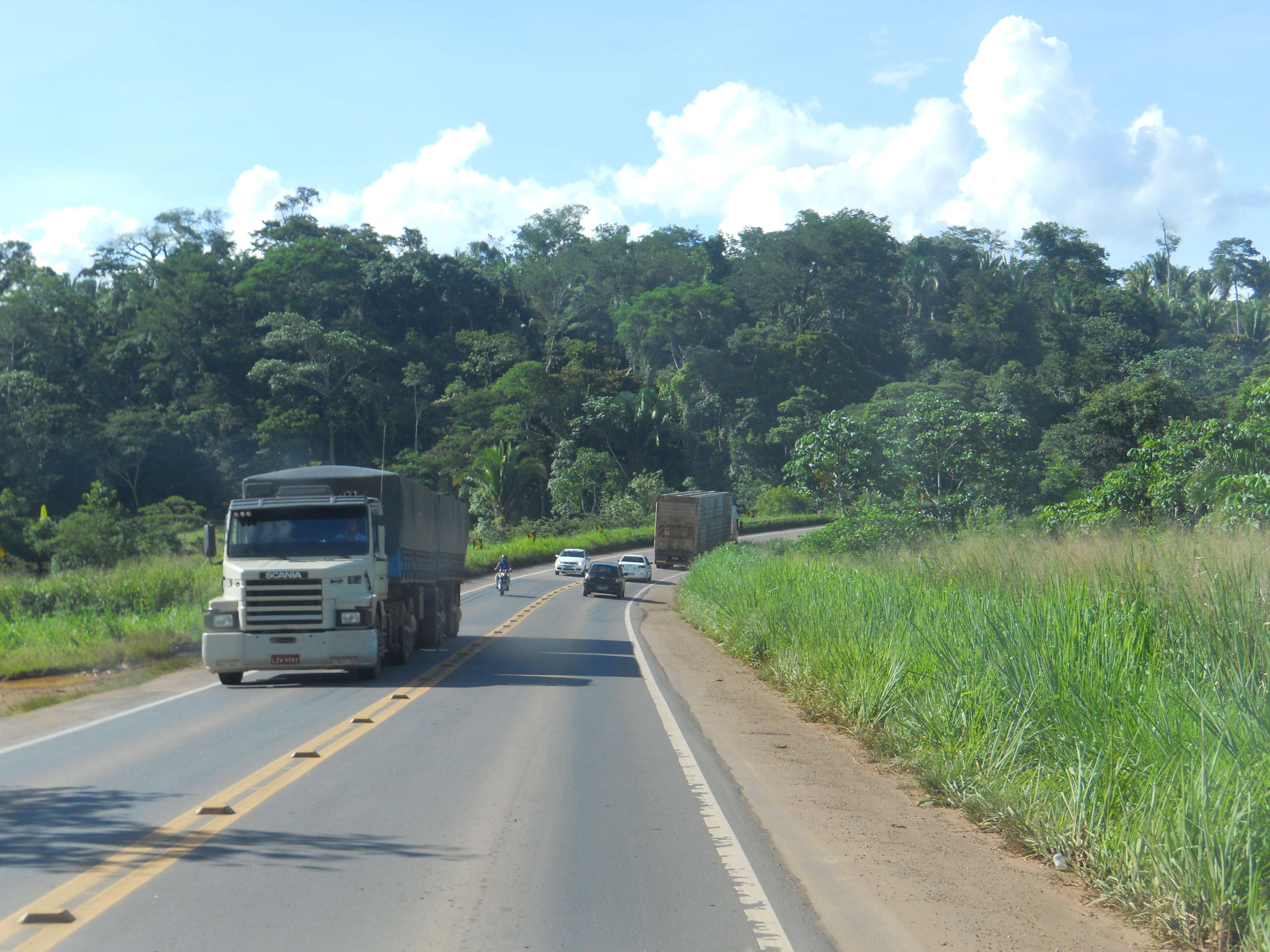 Amazon Rain Forest in central Rondonia, Brazil