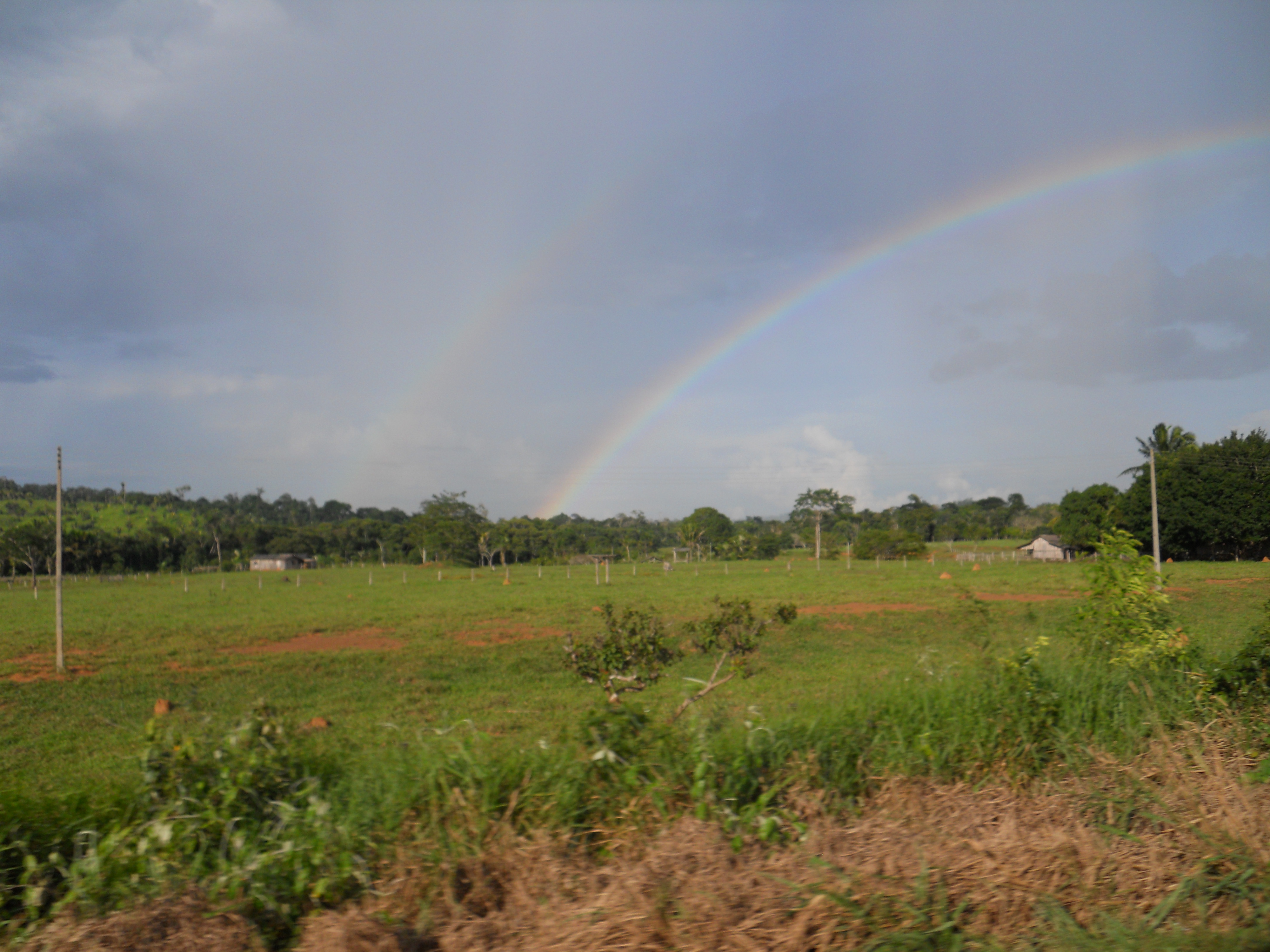 Rainbow over Amazon Rain Forest in central Rondonia, Brazil