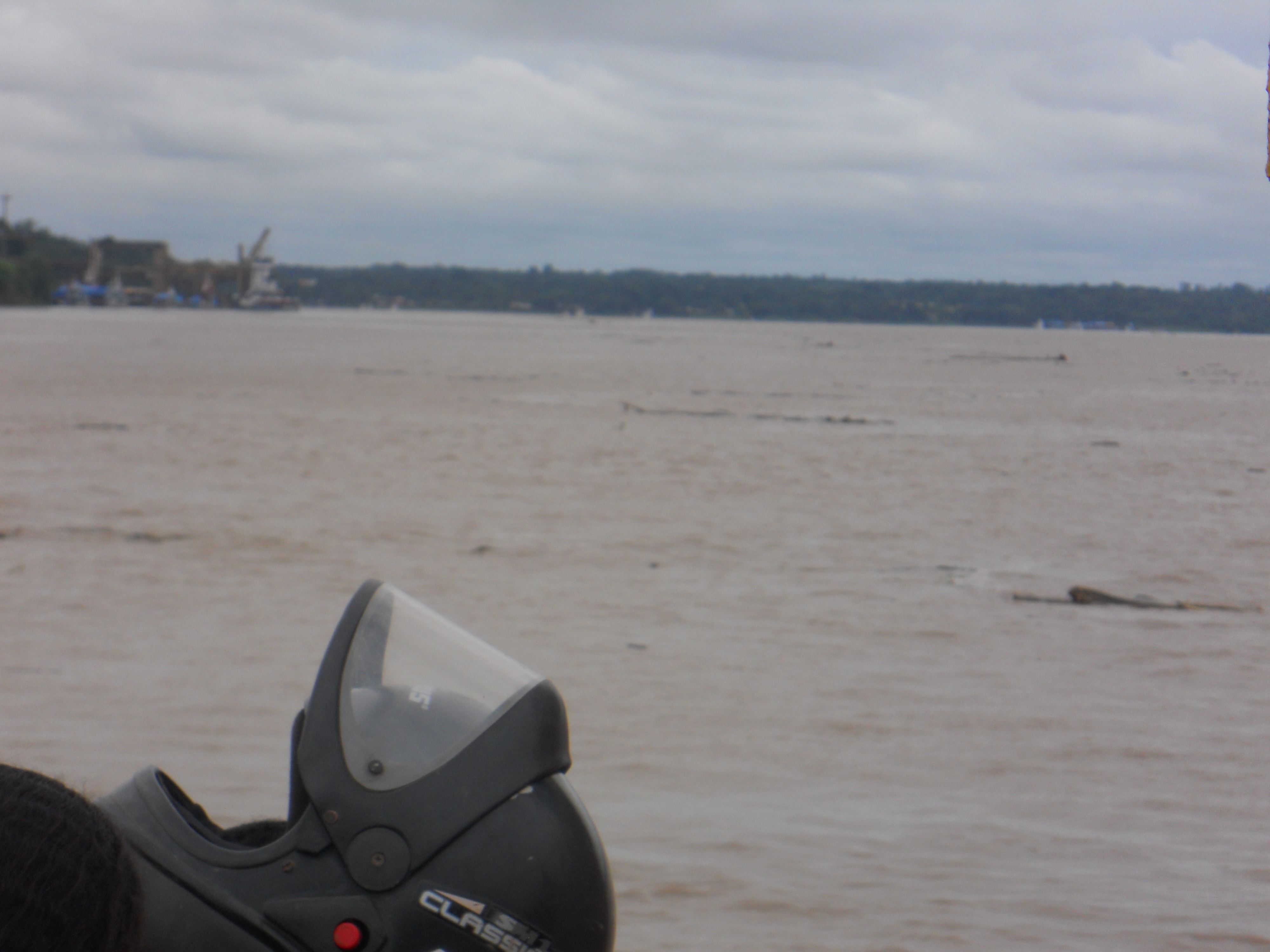 Logs floating in the Madeira River at Porto Velho, Brazil