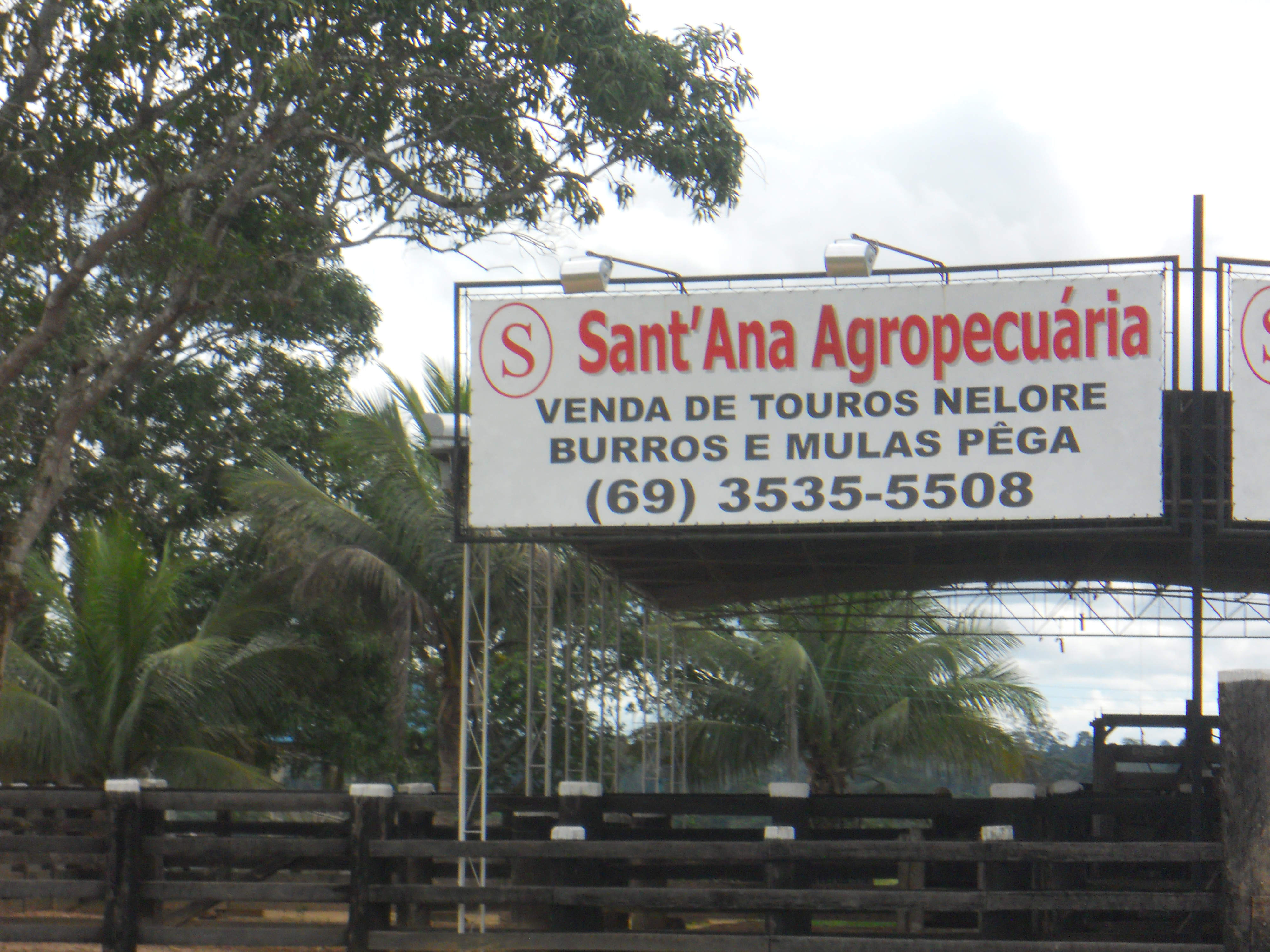Sign for selling bulls, burrows, and mules in central Rondonia, Brazil