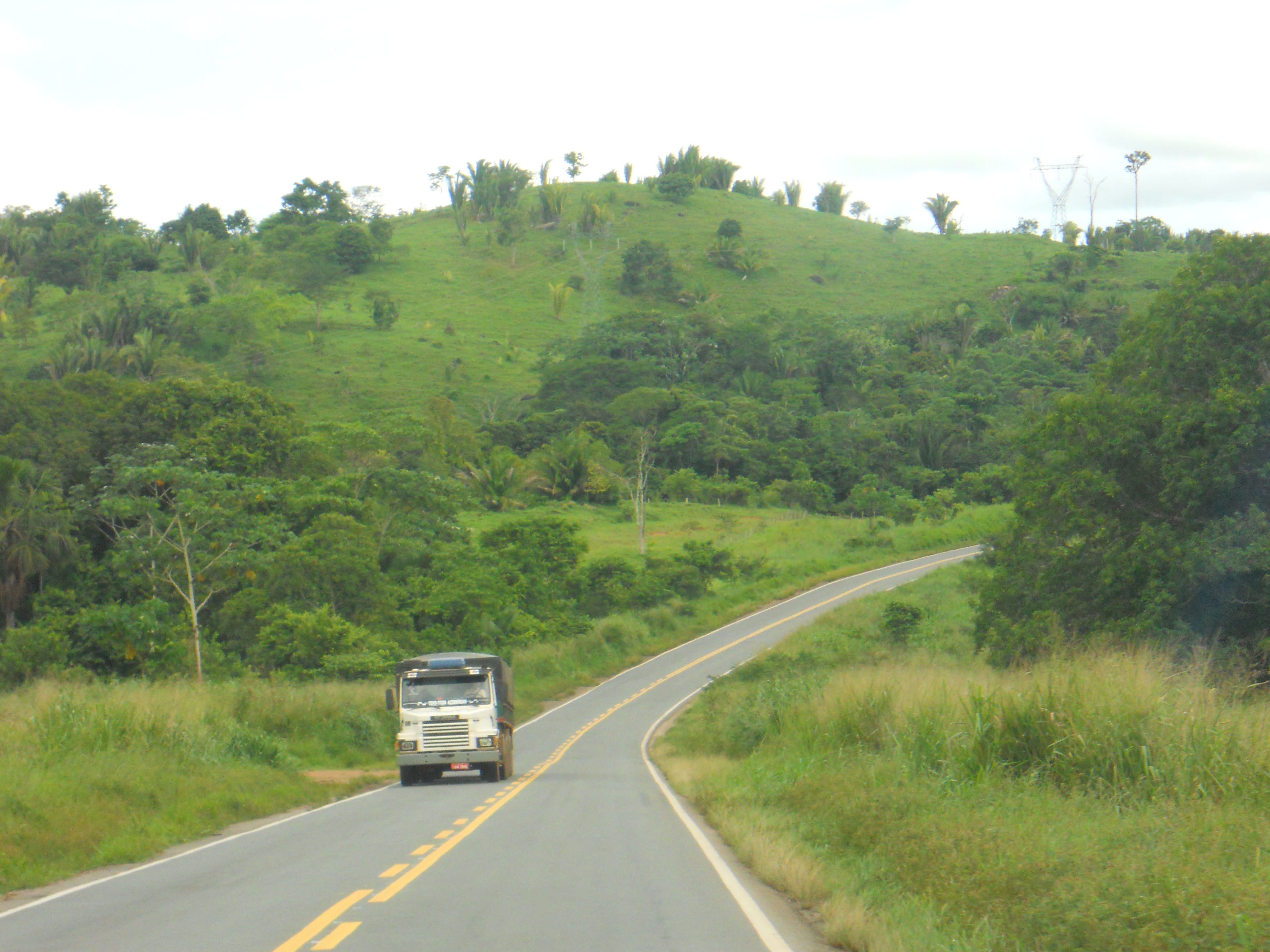 Amazon Rain Forest in central Rondonia, Brazil