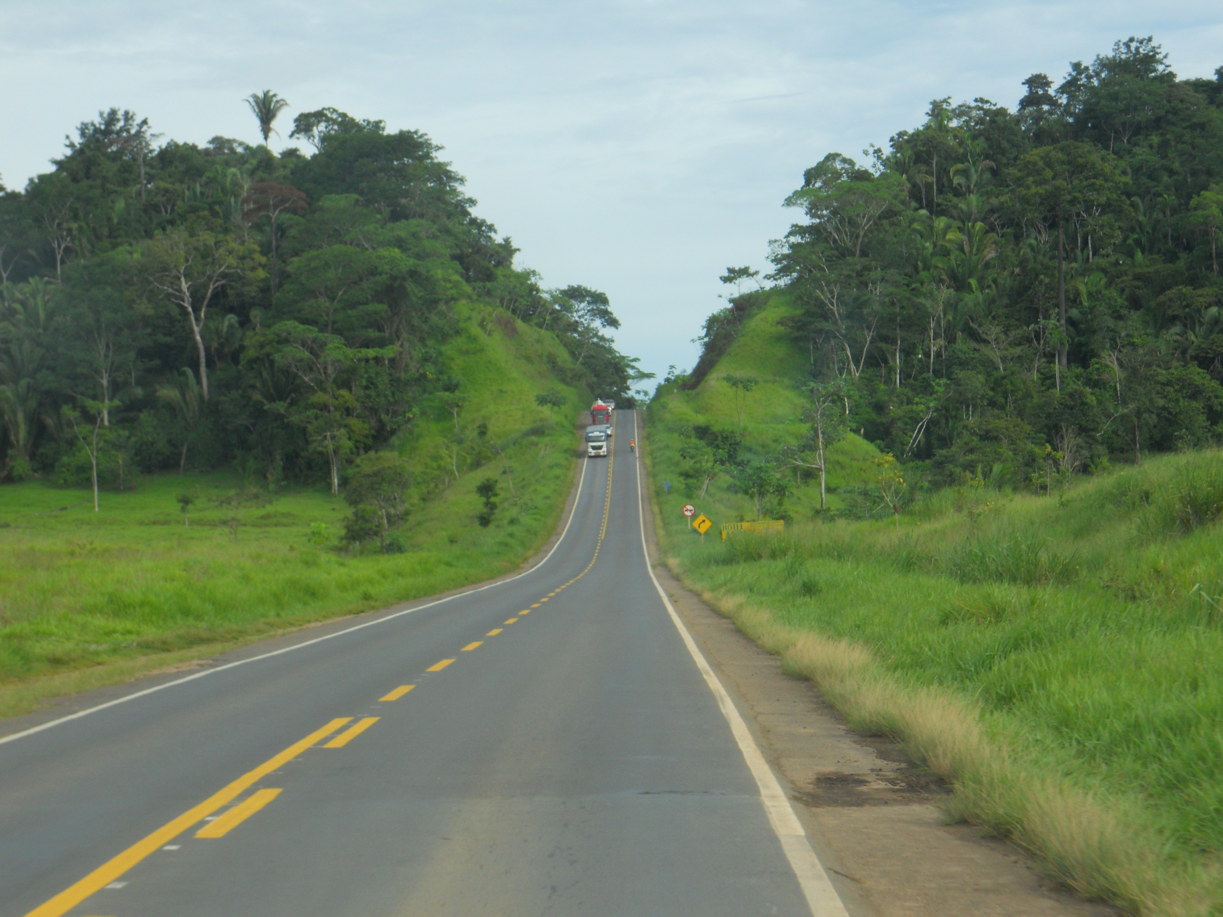 Amazon Rain Forest in central Rondonia, Brazil