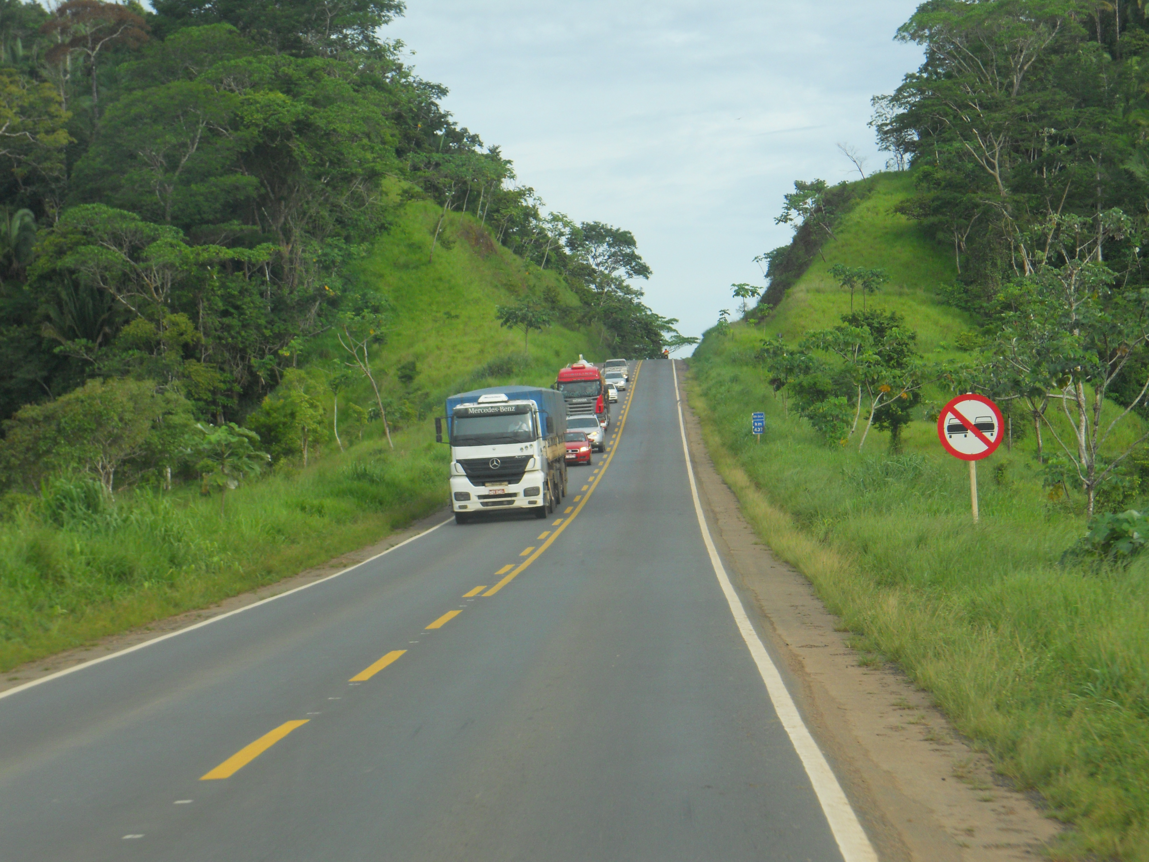 Amazon Rain Forest in central Rondonia, Brazil