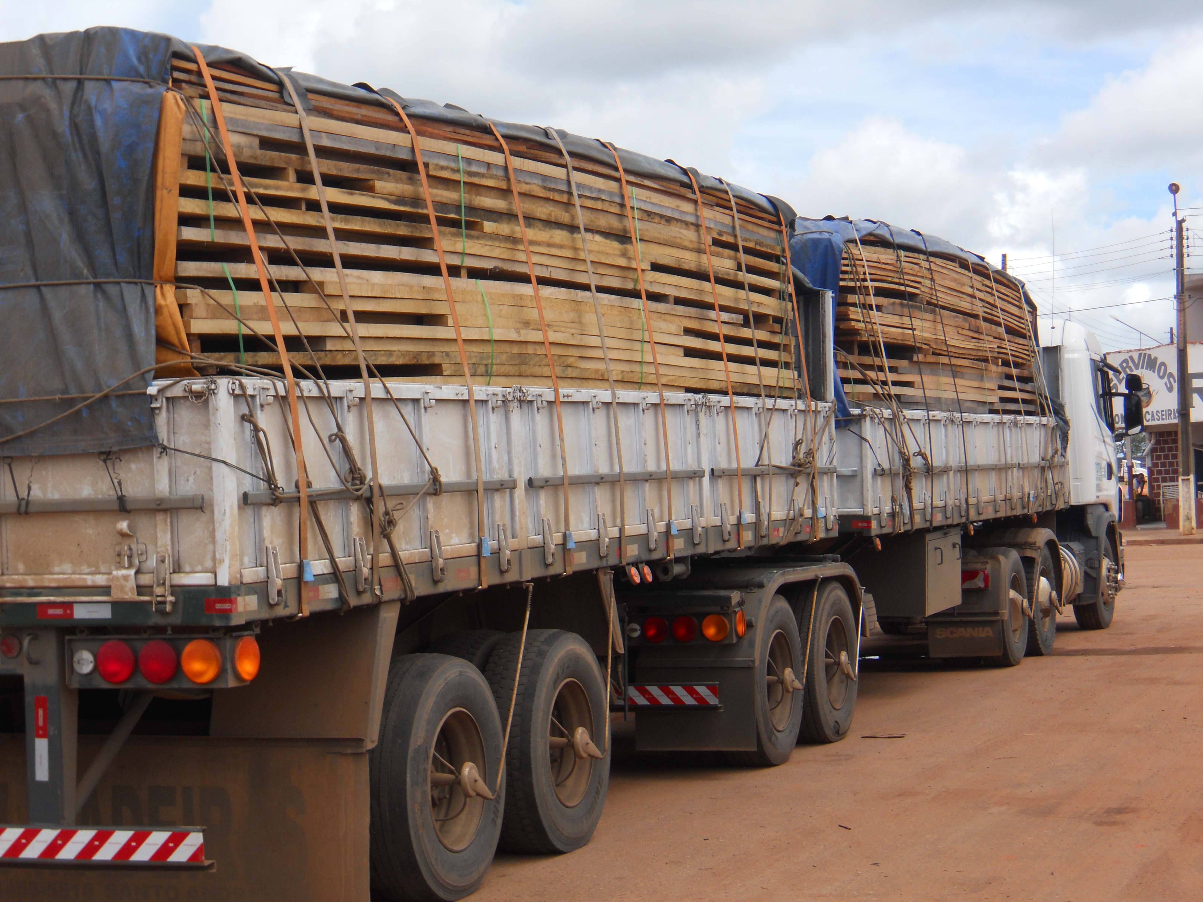 Wood being transported out of the Amazon Region in Rondonia, Brazil