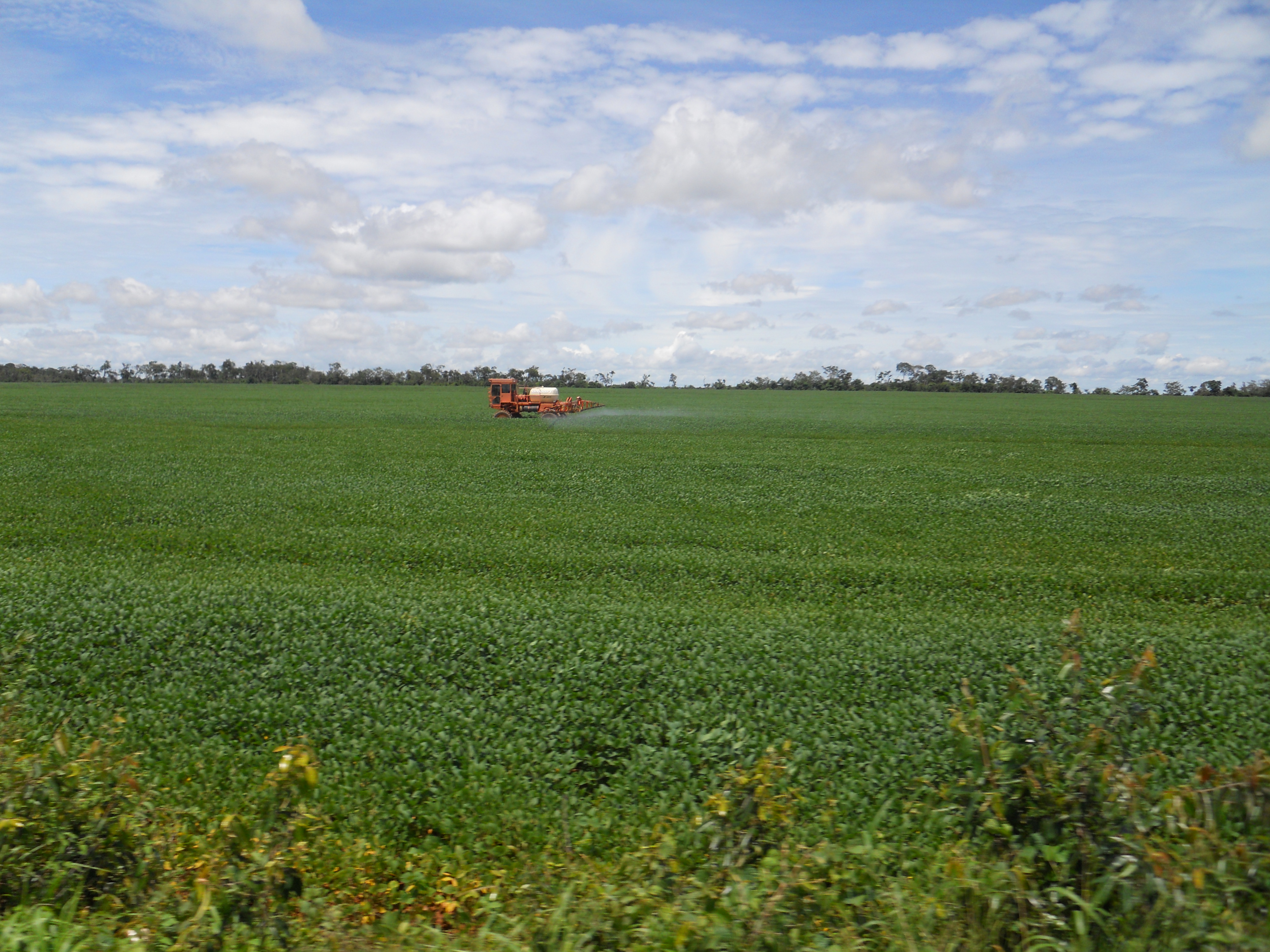 Soybean production in southern Rondonia, Brazil