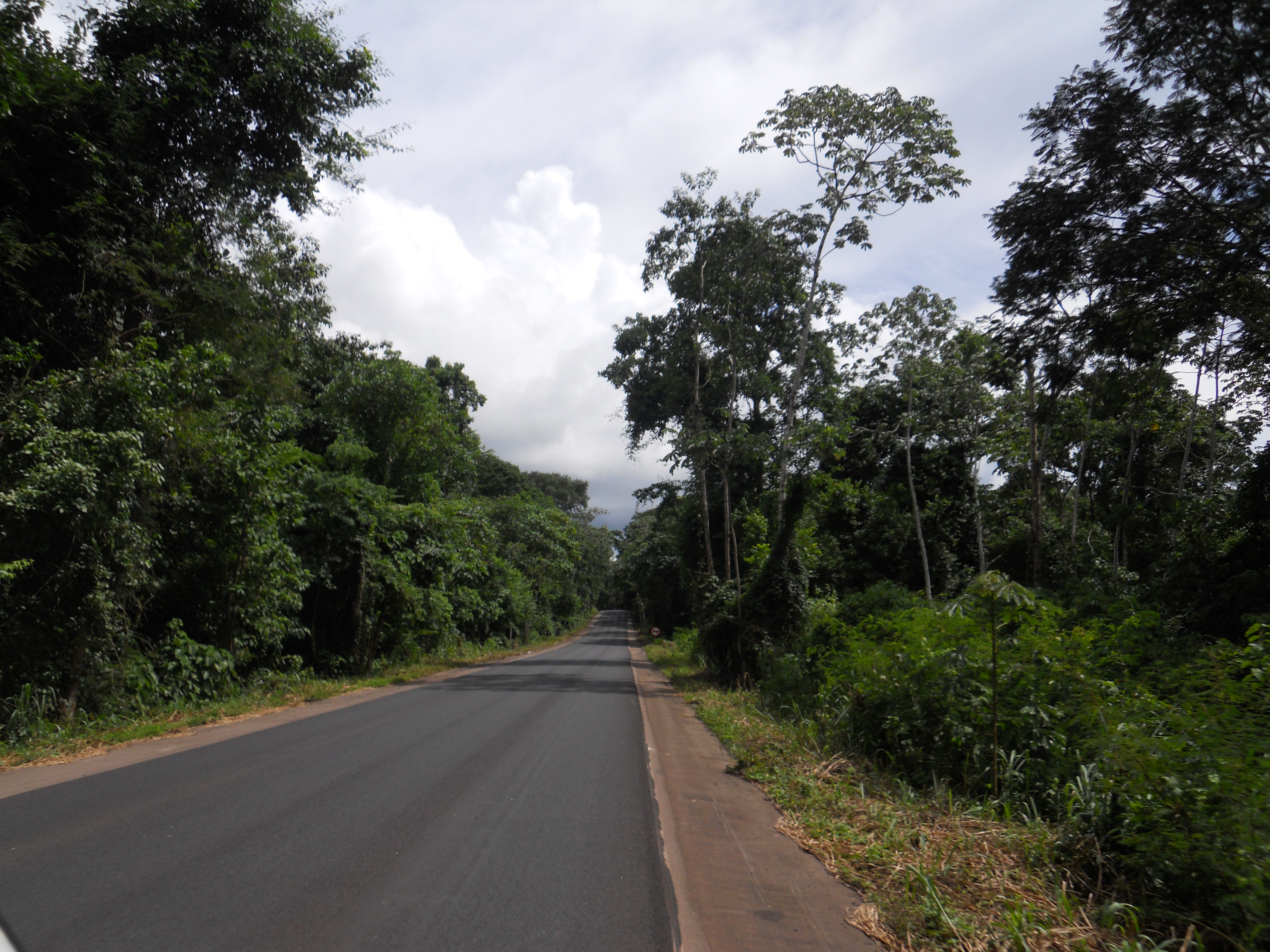 Amazon Rain Forest along BR-364 in northwestern Mato Grosso, Brazil
