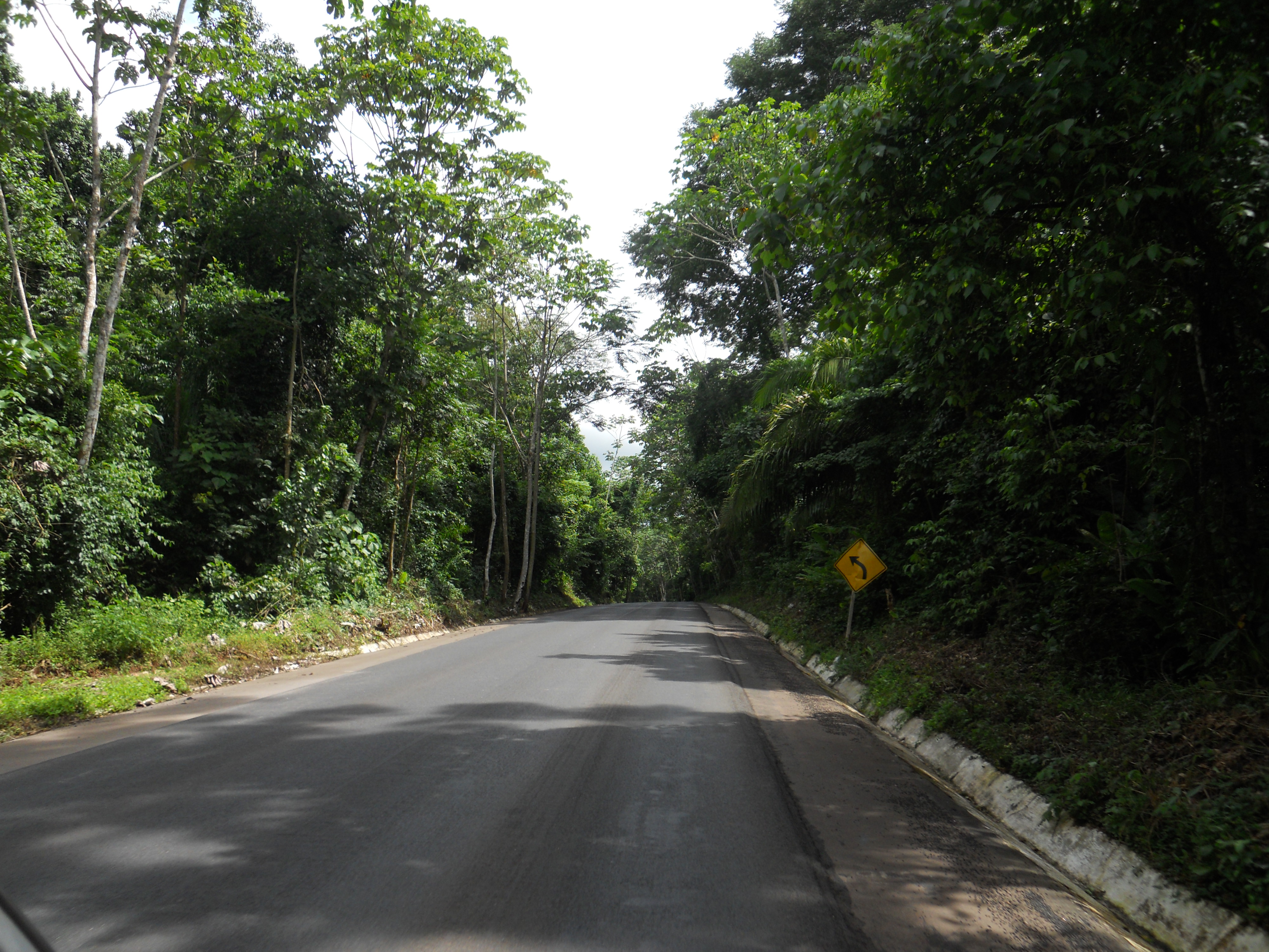 Amazon Rain Forest along BR-364 in northwestern Mato Grosso, Brazil