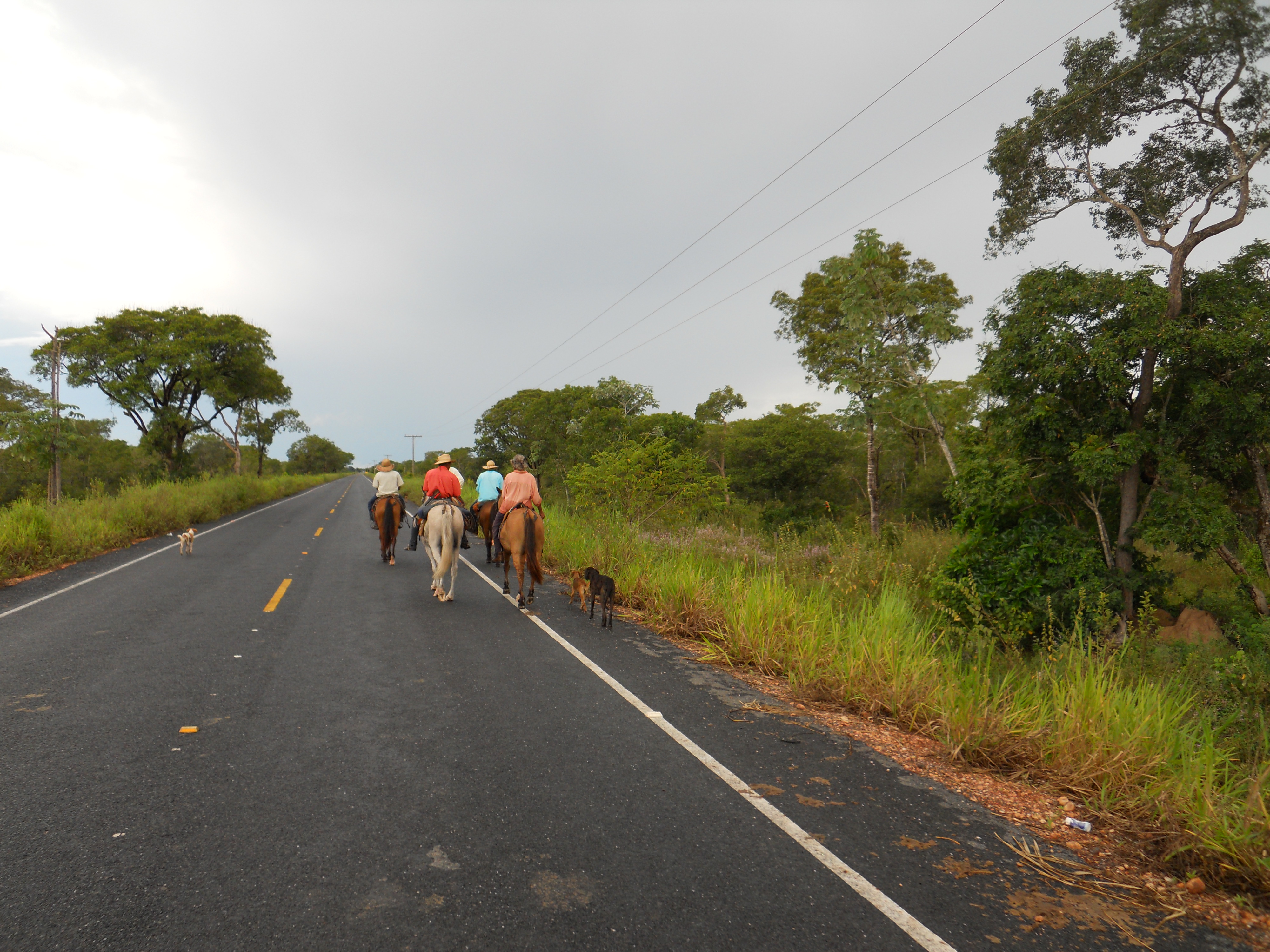 Cowboys in the Pantanal in southern Mato Grosso, Brazil