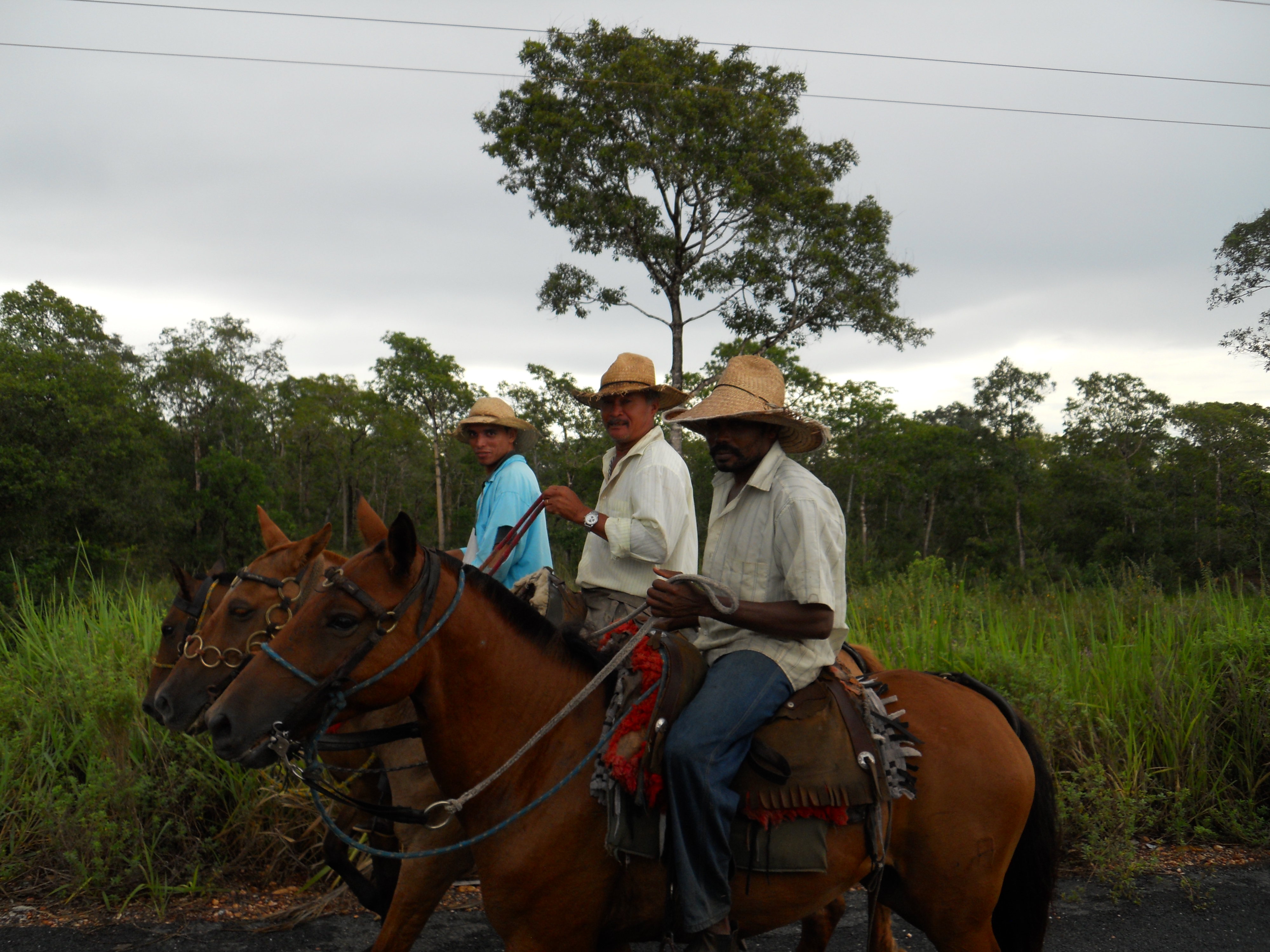 Cowboys in the Pantanal in southern Mato Grosso, Brazil