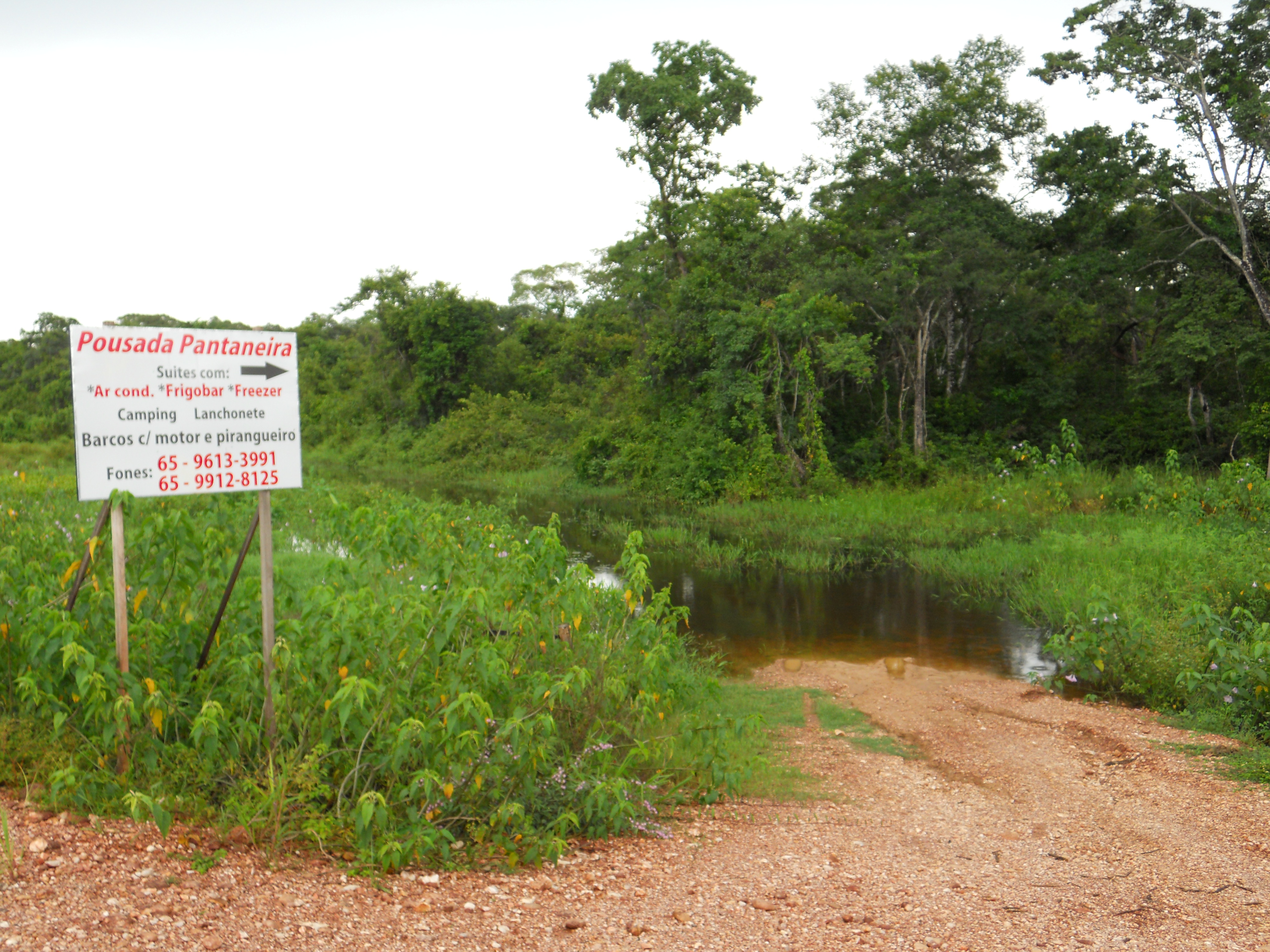 Soggy entrance to a resort during the rainy season in the Pantanal in southern Mato Grosso, Brazil